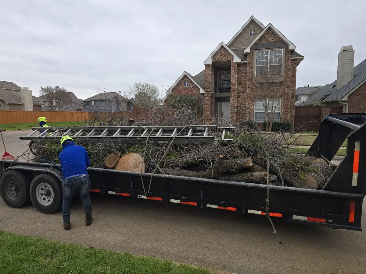 Expert Tree Removal with proper safety equipment in Grover